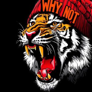 Fierce Tiger & Beanie - Image 1