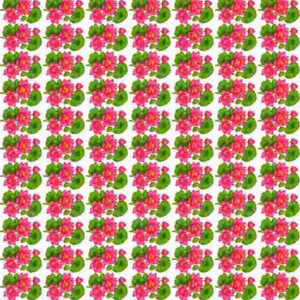 Vibrant Pink Lotus Bunch Grid Sheet - Image 1